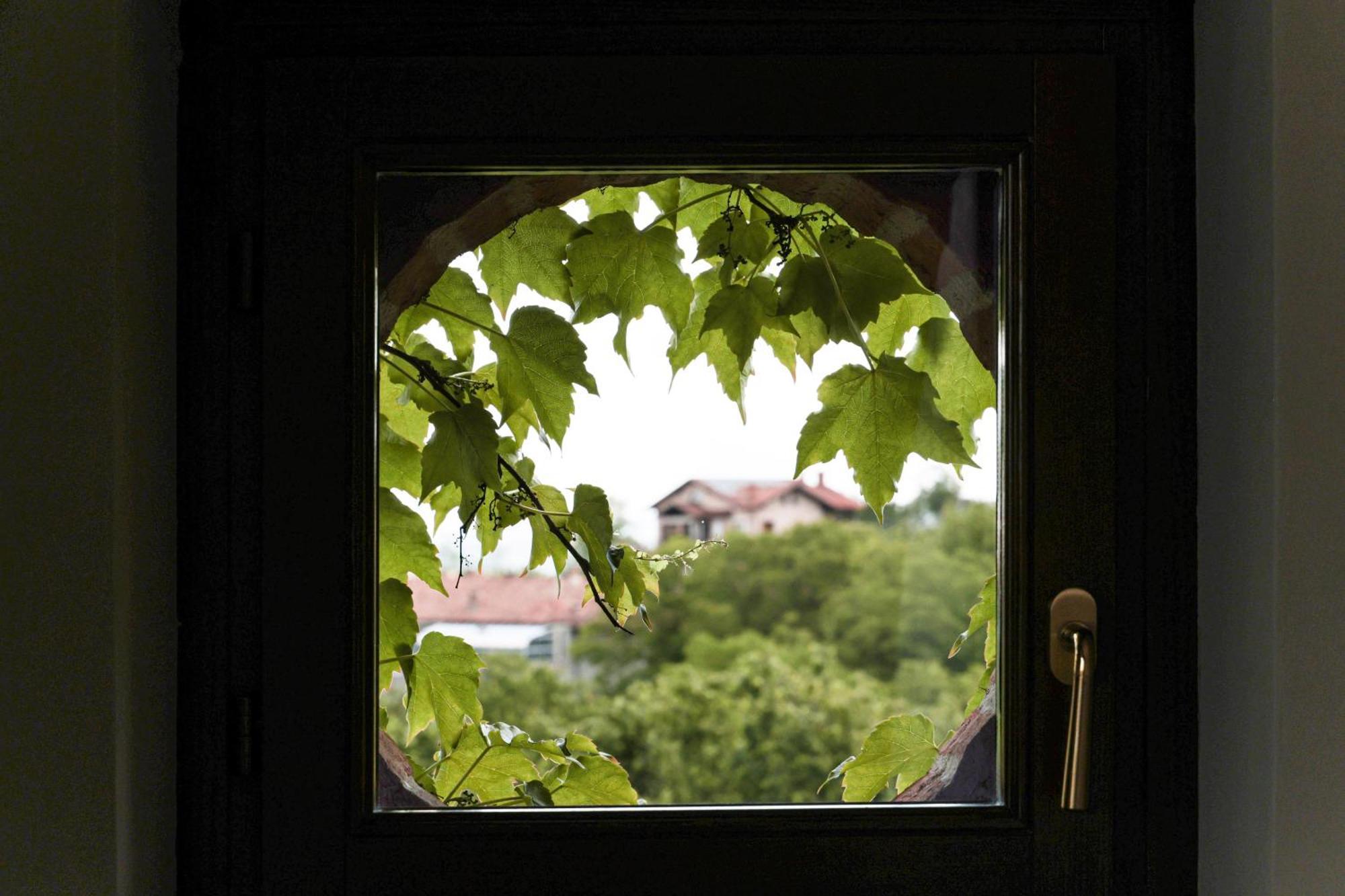 La Cantinella Country House La Morra Buitenkant foto